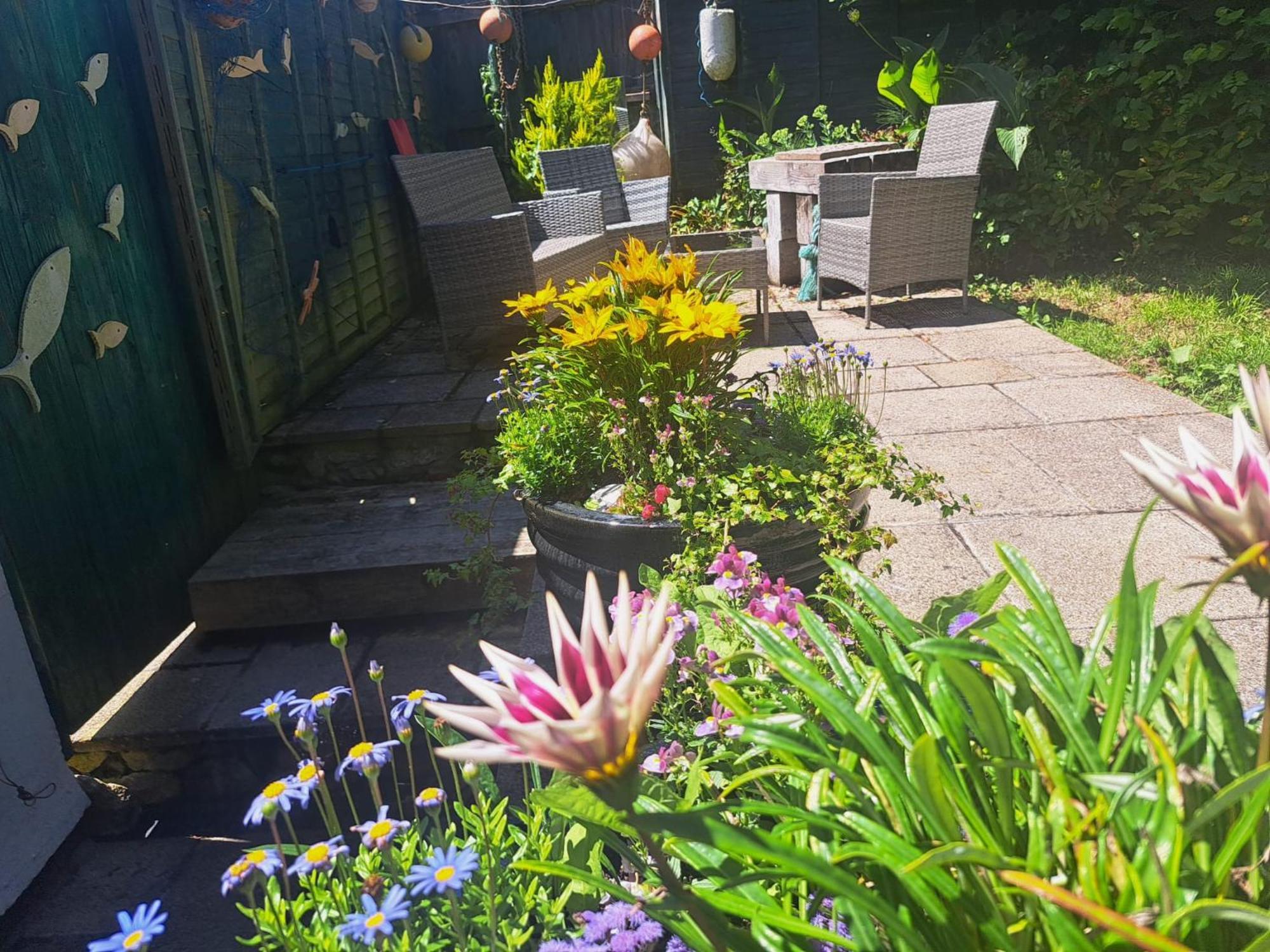 Carbis Bay Willow Bungalow Quiet And Secluded מראה חיצוני תמונה